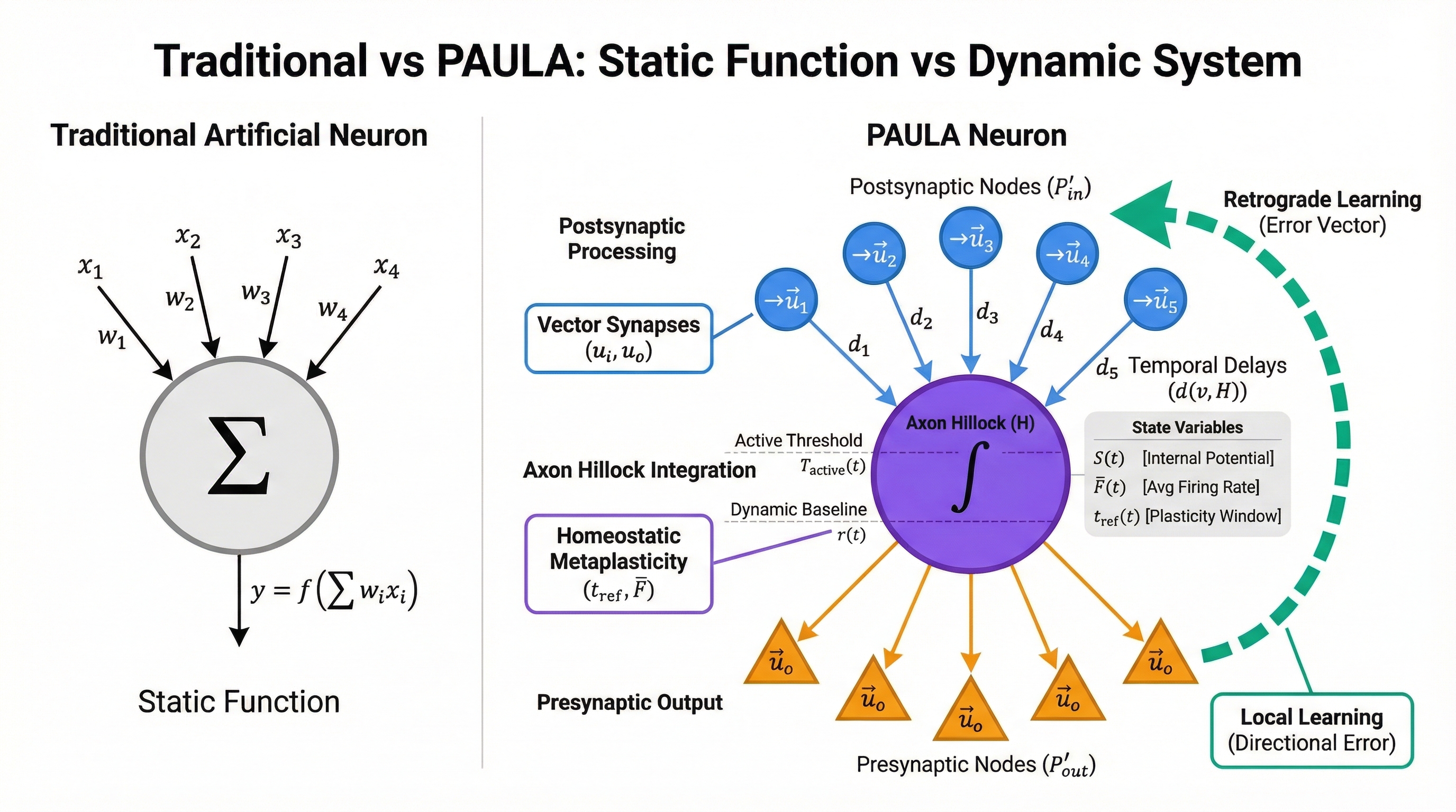 Diagram of the PAULA neuron model showing inputs, soma, and outputs